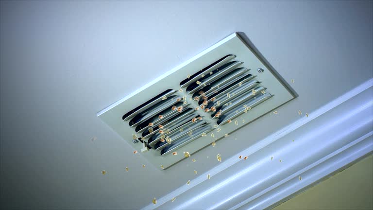 Best Commercial HVAC Duct Cleaning  in Battle Creek, NE