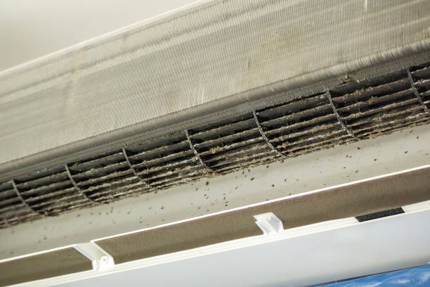 Best Professional Duct Cleaning Services  in Battle Creek, NE