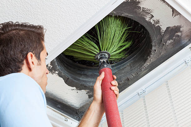 Best Home Air Vent Cleaning  in Battle Creek, NE